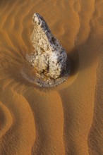 Boulders surrounded by wind-blown sand structures, Huqf stone desert, Arabian Peninsula, Sultanate