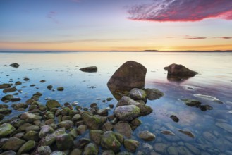Rocky beach with boulders on the Bay of Greifswald at sunset, Mönchgut Nature Reserve, Groß Zicker,