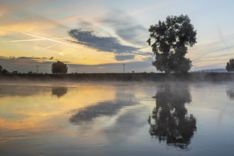 Morning with fog on the Elbe at sunrise, Radebeul, Saxony, Germany