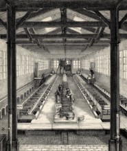 Fish farming at Huningue, Haut-Rhin department, Alsace, France, 19th century