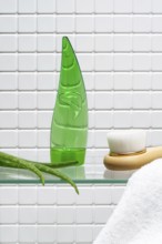 Bathroom essentials for skin care featuring a bottle of aloe vera gel and body cream beside a fresh