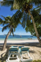 Anse Government beach at Hotel L'Archipel Resort, Praslin, Republic of Seychelles, Indian Ocean