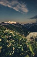 Hiking tour on the Hönig mountain in the Lechtal valley near Berwang in Tyrol, Austria