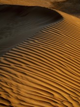 Sand dunes in the Rhub al Khali desert, detailed view, empty quarter, largest sandy desert in the