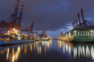 Blue hour, container ships, container bridges, Eurogate, Burchardkai, Waltershof, harbour, Hamburg,