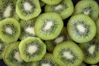 A close up view of multiple fresh kiwi slices revealing their vibrant green color and distinctive