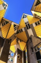Cube houses from 1984, architect Piet Blom, Rotterdam, the Netherlands