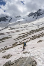 Mountaineer on a snowfield, descent from the summit of Schönbichler Horn, view of snow-covered and