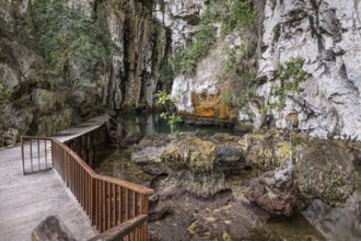 A scenic boardwalk winds through a cave, surrounded by lush foliage and rocky terrain in Indonesia.