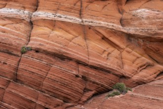 Close-up view of a weathered sandstone formation displaying natural abstract textures and rich