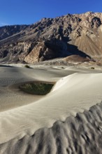 Sand dunes in Nubra valley in Himalayas. Hunder, Nubra valley, Ladakh