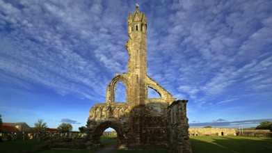 Europe, Scotland, Great Britain, England, landscape, cathedral, St. Andrews