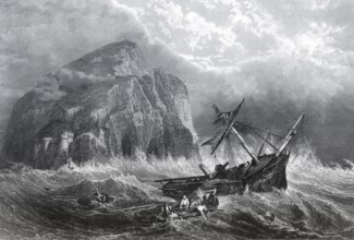 The Bass Rock, eine Insel im Firth of Forth im Osten Schottlands