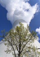 Cooling tower of the Duisburg-Walsum coal-fired power plant, combined heat and power plant operated