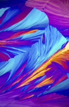 Microscopic image showcasing vivid Adipic acid, crystals in stunning shades of blue, purple, and