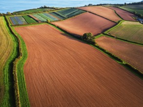 Colours of autumn Fields and Farms over Sheldon from a drone, Torbay, Devon, England, United