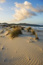 Lonely white sandy beach with dunes, sunrise, Porto Pino, Sardinia, south coast, Italy