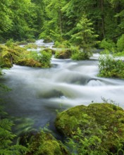 White water and rapids on the Trieb stream in the Triebtal nature reserve in Vogtland, Plauen,
