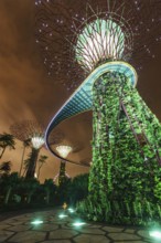 SINGAPORE, DECEMBER 31, 2013: Night view of Supertree Grove at Gardens by the Bay. Futuristic park