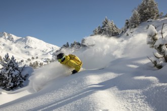 Dynamic freeride skiing in fresh powder snow with a skier in a yellow jacket navigating through a