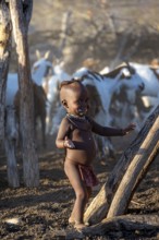 Young Himba child smiling, goats fenced in the kraal, in the morning light, traditional Himba