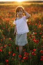 A young girl stands amid vibrant Papaver rhoeas, known as common poppy and red poppy, during a