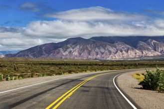 Winding road leads through barren landscape with mountains and cacti, cloudy sky in the background,