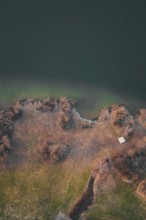 View of a wooded shoreline with clear blue lake water, Großer Alpsee, Immenstadt im Allgäu,