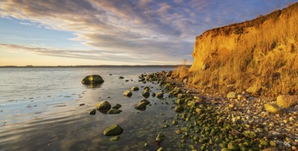 Rocky beach with boulders on the cliffs of the Bay of Greifswald in the evening light, Mönchgut