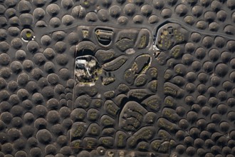 Aerial view showcasing the distinctive vine cultivation techniques in La Geria, Lanzarote, with