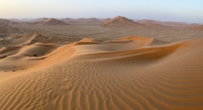 Sand dunes in the Rhub al Khali desert, empty quarter, largest sandy desert in the world, Oman