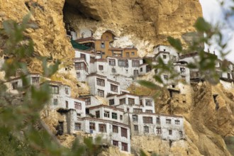 Phugtal Monastery, nestled in Ladakh's rugged cliffs, is a stunning Buddhist retreat. Its