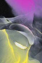 This abstract art features a vibrant mix of neon colors, pink, green, and yellow swirling