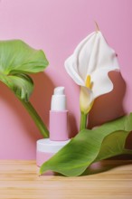 Eco-conscious cosmetic bottles styled with vibrant green leaves and a white flower against a soft