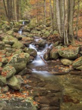Riesloch nature reserve, Riesloch Falls, Riesloch Falls, Riesbach waterfall, Bodenmais, Bavarian