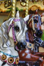 Two horse figures, horse heads, horses in a nostalgic children's carousel, close-up, France