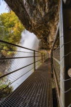 A narrow metal footbridge leads past a large waterfall, flanked by rocks and autumn vegetation,
