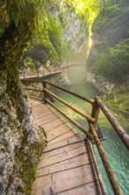 Scenic wooden walkway winding through vintgar gorge, with the radovna river flowing below, near
