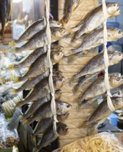 Dried fish on a conveyor belt, Gwangjang market, traditional street market in Jongno-gu, Seoul,