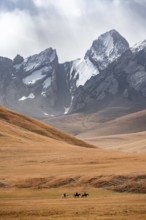 Rider in front of mountain landscape with yellow meadows, mountain peak, Keltan Mountains, Sary