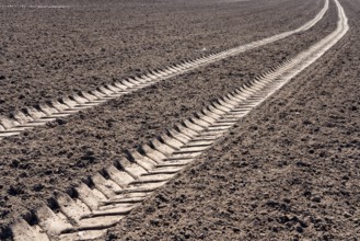 Tractor tracks, agricultural trails at a cultivated field in springtime, farmland near Wesertal,