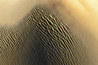 Explore the intricate textures of La Puna sand dunes at sunset. The golden hues and undulating