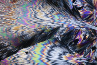 Striking, spectrum-like colors of hippuric acid crystals under a microscope. These colors range