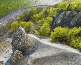 View of chalk cliffs in Jasmund National Park on Rügen, Sassnitz, Rügen, Mecklenburg-Western