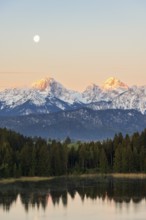 Hegratsrieder See near Füssen, Allgäu Alps, snow, moon, dawn, Allgäu, Bavaria, Germany