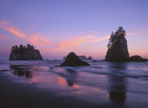 The sky glows in shades of pink and purple as the sun sets over Second Beach, with sea stacks