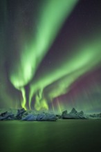 Northern Lights over icebergs in the glacier lagoon, Jökulsarlon, icebergs with glacier,