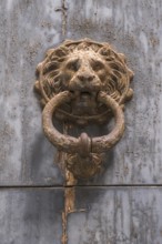 Lion's head as a door knocker, Lecce, Apulia, Italy