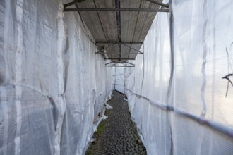Footpath through a scaffolding with tarpaulin, Fußweg durch ein Baugerüst mit Abdeckplane
