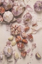 Fresh garlic on a white background, top view, food concept